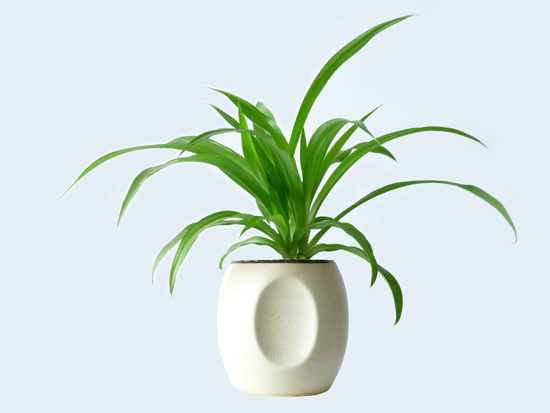 漏财的家居风水 让你总赚不够钱花